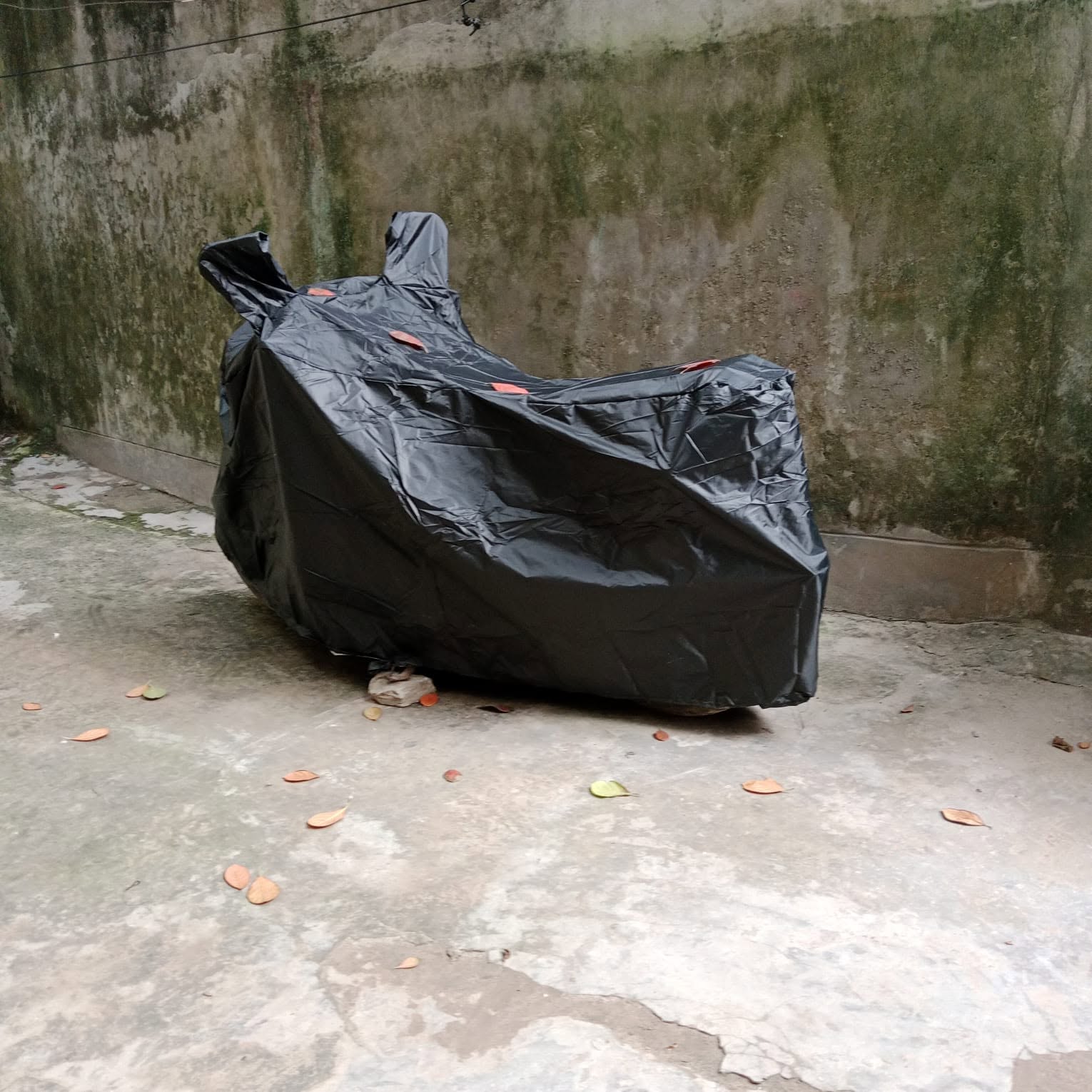 Black Cover